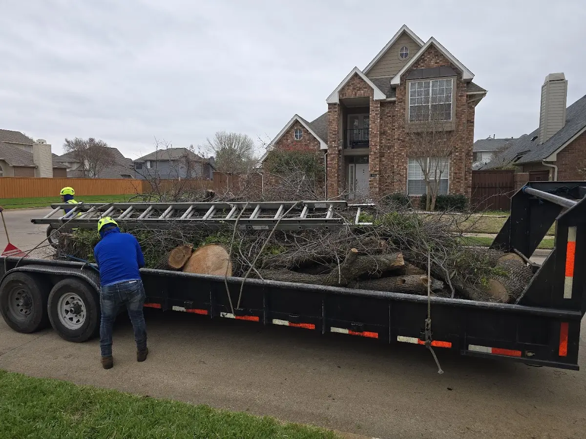 Expert Lot Clearing with proper safety equipment in Roaring River